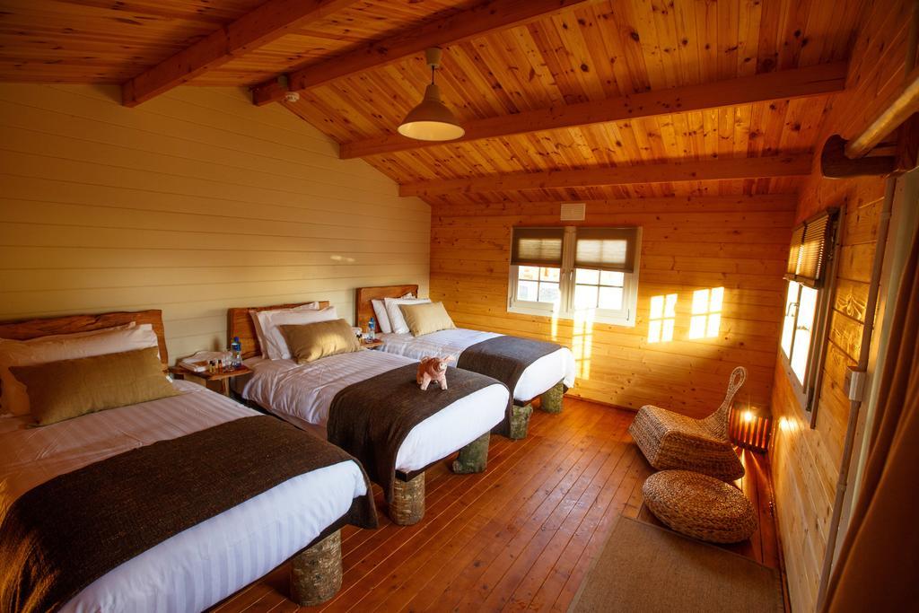 Giltraps Townhouse & Glamping Hotell Kinnitty Rom bilde
